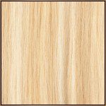 #14-24 Golden Blonde + Brown Highlights