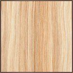 #27-613 Honey Brown + Hint of Blonde