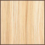 #112 Golden Blonde + Warm Highlights